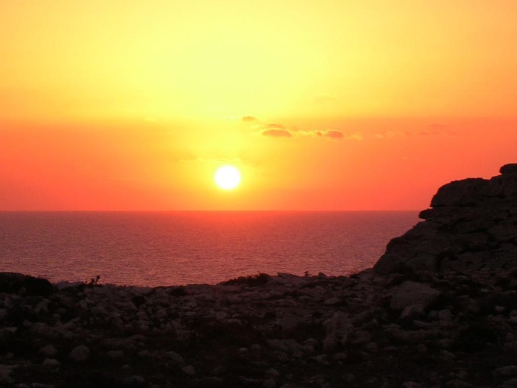 Oasis Hotel Residence Resort Lampedusa Bilik gambar